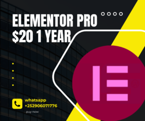 Buy Elementor Pro for one year at$20."